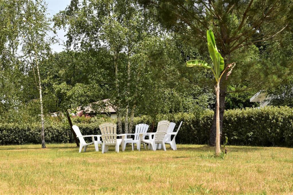 Villa Calm House, Swimming Pool And Garden à Bénesse-Maremne Extérieur photo